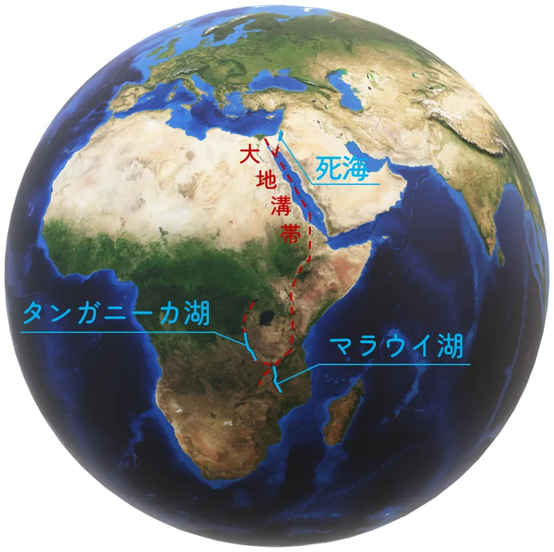 大地溝帯と死海の位置