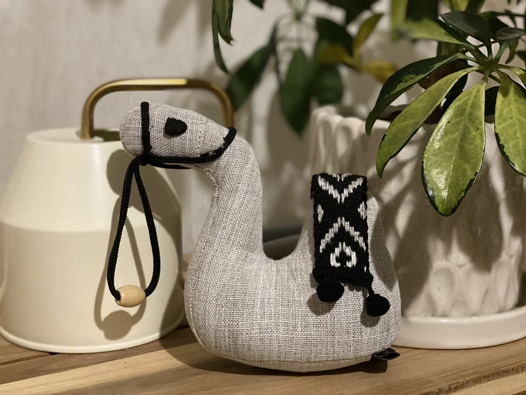Iksa Shopで買ったラクダの置物