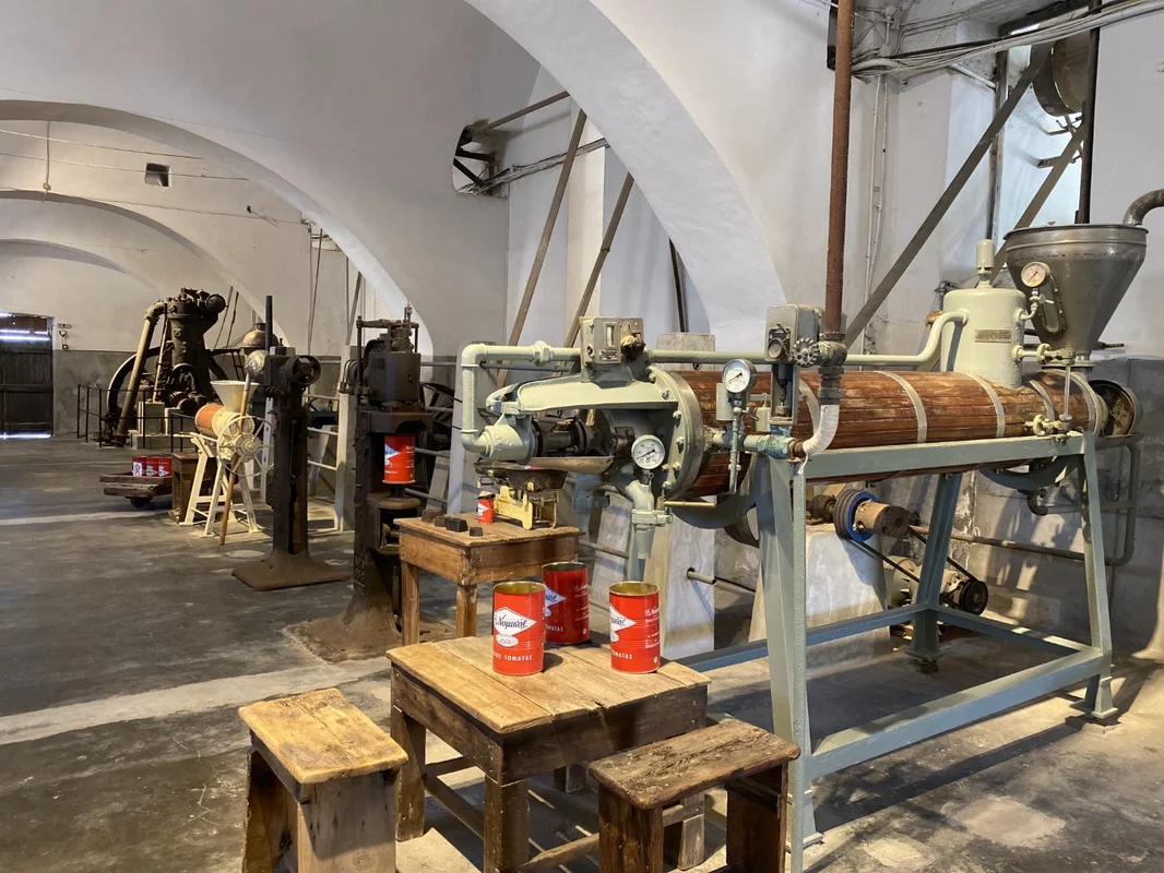 展示の様子