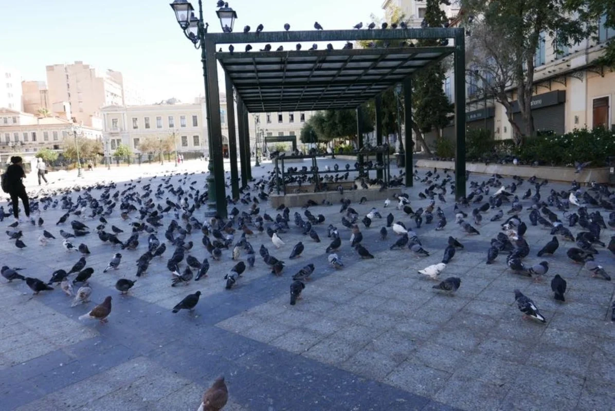 Kotzia広場
