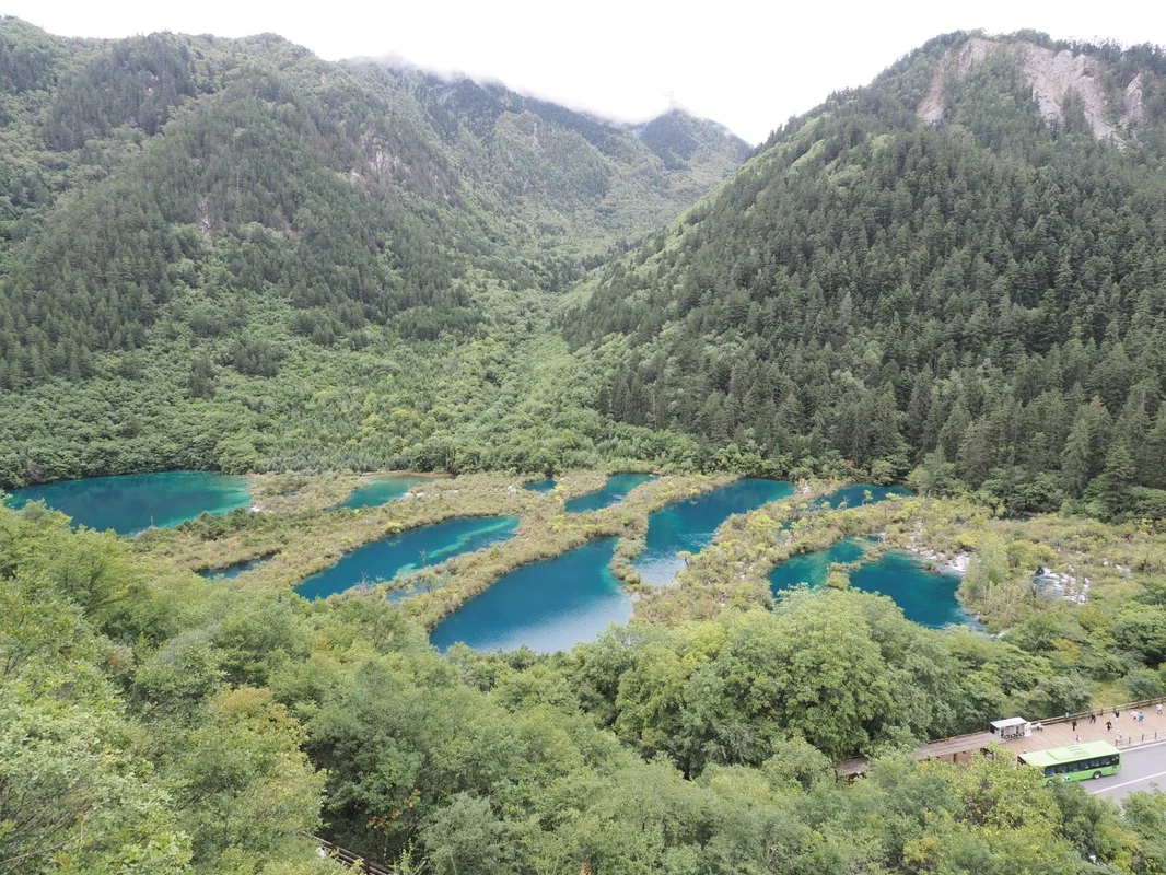 樹正群海