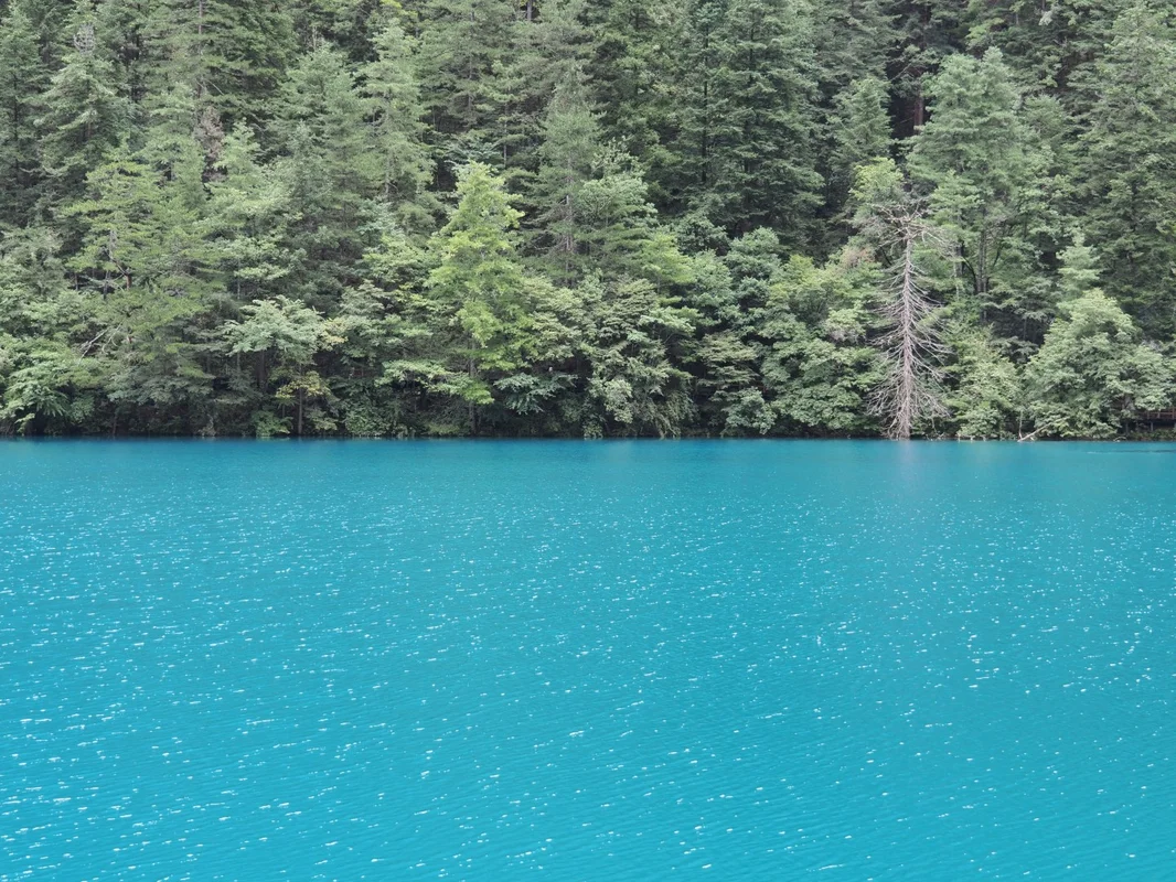 犀牛海