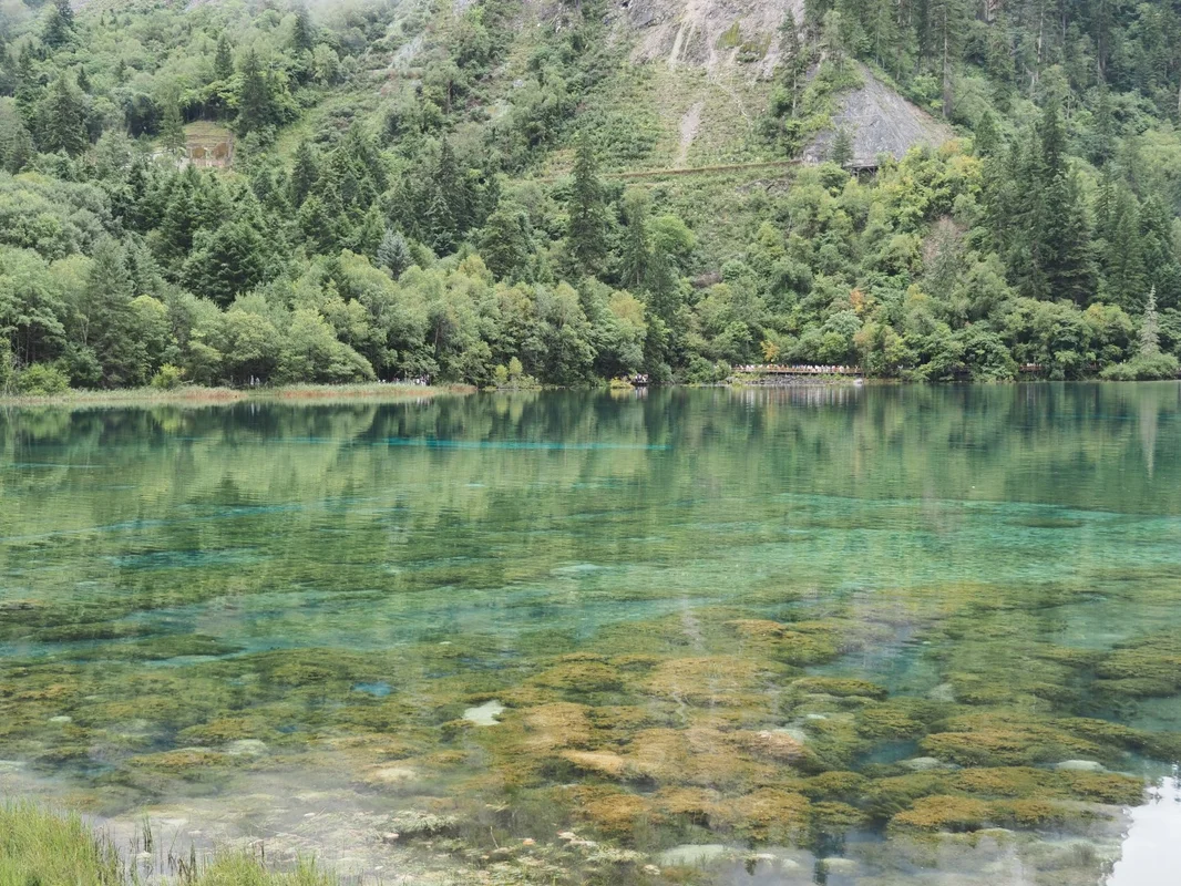 五花海