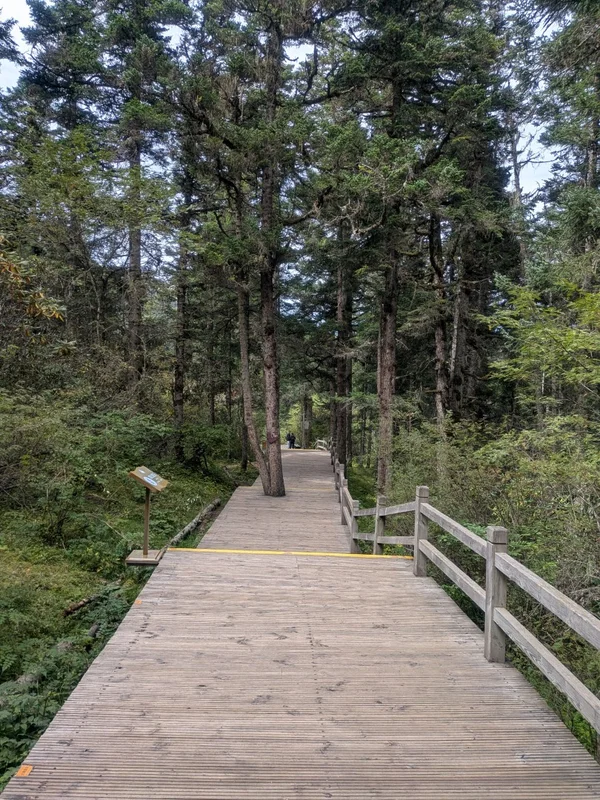 遊歩道