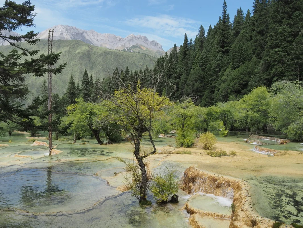 盆景池