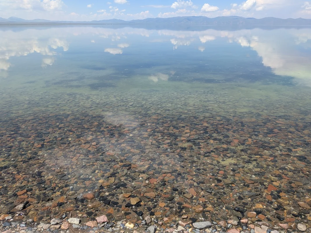 湖の様子
