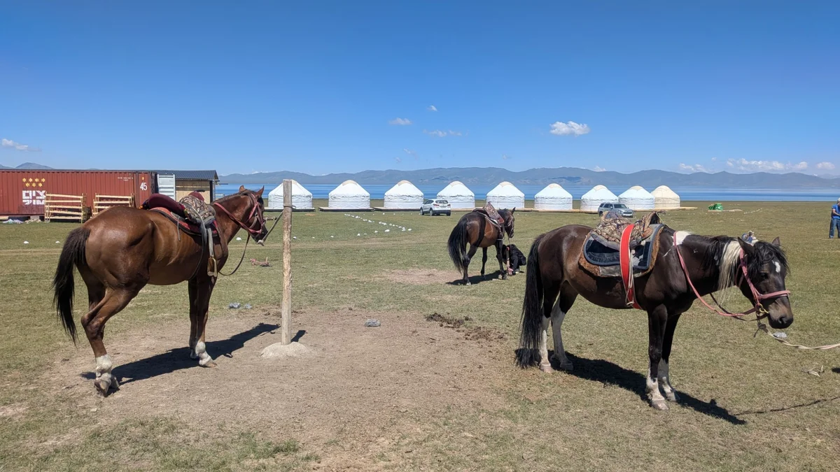 乗馬したジェルデ（左）とカララ（右）