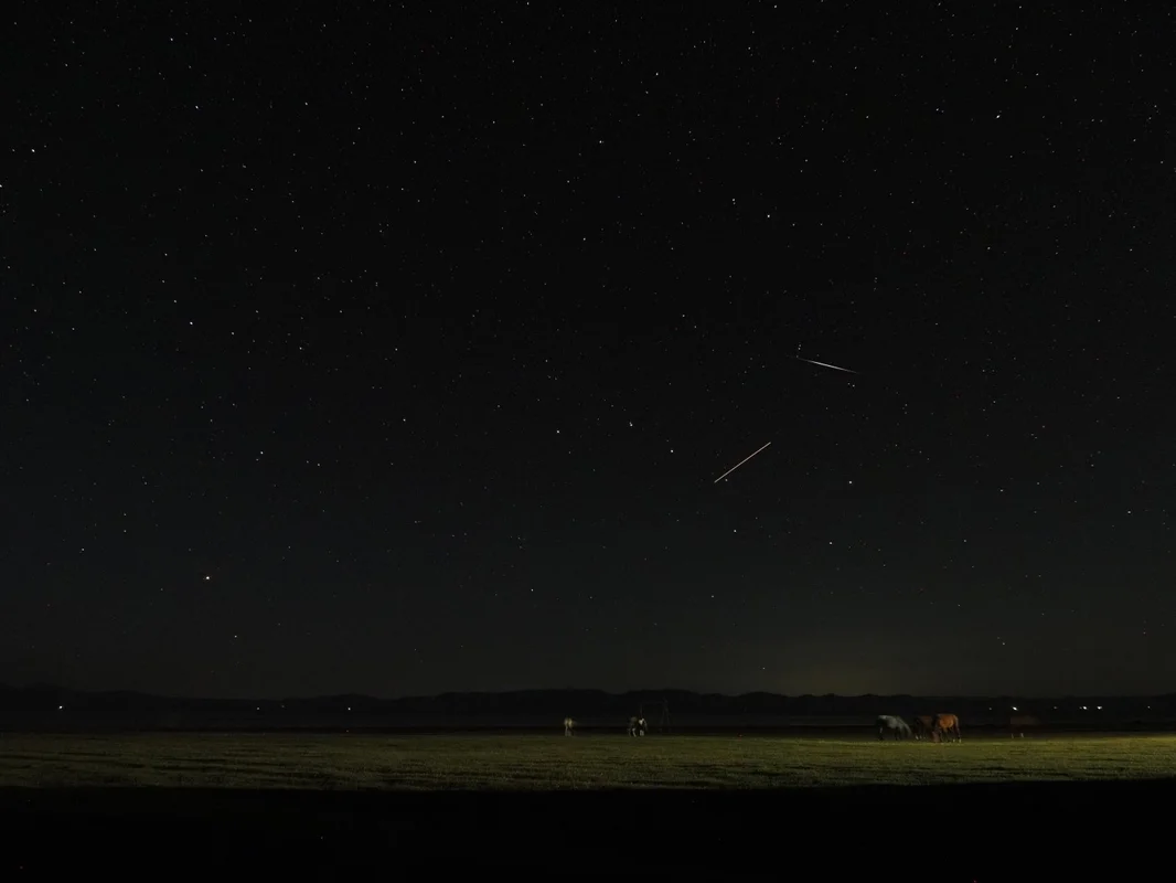 星空と馬（上の線は流れ星、下の線は飛行機の光）
